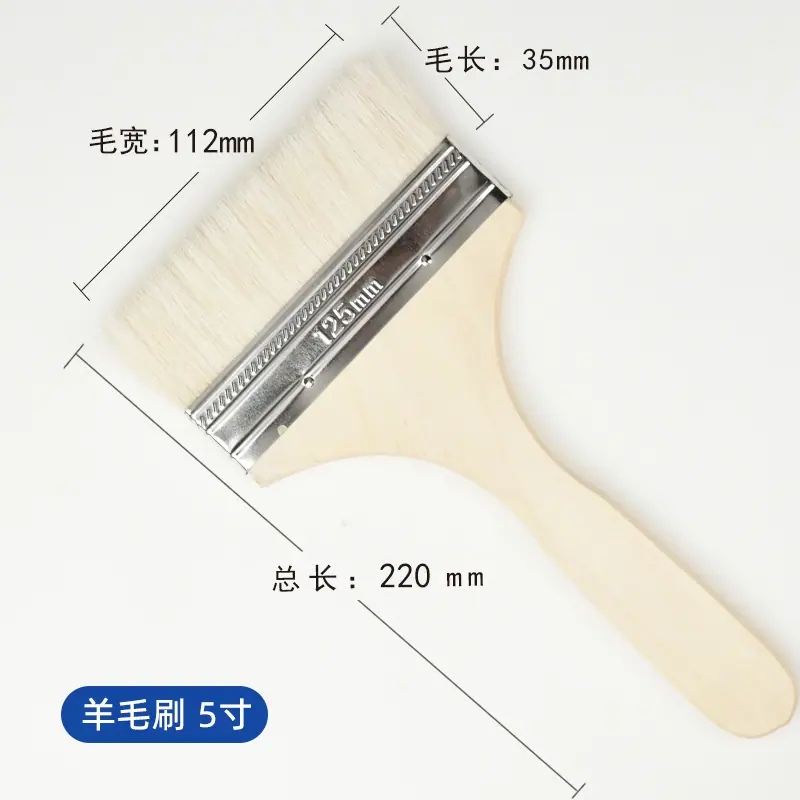 5寸
