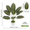 Planta verde carey bambú simulación cabeza pequeña modelado anémona suelta planta de viaje plátano decoración interior paquete de plantas adornos al por mayor