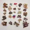 Fruta Fixa Natural Planta Fruta Casca Espécime Material Decoração Flores Secas Fatias Jardim de Infância DIY Pacote de Material de Natal