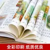 Juego Completo de 4 Volúmenes: la Colección Completa de Cuentos de Peter Rabbit, Libro Ilustrado con Notación Fonética, Colección de Cuentos Infantiles, Cuentos para Dormir para Estudiantes de Primaria