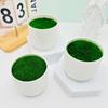 Maceta pequeña de plástico con base de escalón caliente, estilo europeo, para escritorio, decoración de oficina, planta en maceta