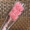 Grama Rabo de Coelho Seca, Flor Imortal, Grama Rabo de Cachorro, Decoração Estilo Nórdico, Adereços para Fotografia, Flor Decorativa, Decoração com Flor Imortal