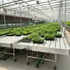 Estante de Mudas de Liga de Alumínio Cultivo Sem Solo Cama de Mudas Hidropônica Estufa Quente Plantio de Vegetais Flores Estante de Mudas Móvel com Manivela