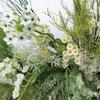 Decoração de Fundo Explosiva Mori Adereços de Fotografia de Floricultura Plantação Verde Simulada Flor de Seda Arranjo de Flores para Cerimônia de Casamento