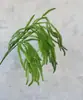 Flores verdes folhas plantas verdes cena estilo floresta de casamento decoração arte floral de casamento grama verde folhas