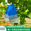 Fornecimento Direto da Fábrica de Sacos Especiais para Uvas Rosa Sol, Proteção contra Pássaros, Insetos, Impermeáveis, Sacos de Três Cores 28*36 Sacos de Papel para Frutas