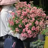 Plántulas de Rosa Gypsophila Ultra Finas, Plántulas de Rosas Florecientes, Florales de Maceta de Cuatro Estaciones, Plantas Trepadoras, Rosales y Plantas Verdes