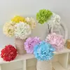 Flores de Hortensia Artificiales Grandes sin Hojas para Decoración de Sala de Estar, Arreglo de Escena para Salón de Bodas, Decoración de Arreglo Floral, Transfronterizo