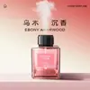 Máquina de Aromaterapia Interior Sin Fuego Rociador de Aceite Esencial Fragancia Duradera Perfume para el Hogar Hotel Dormitorio Baño Adornos Desodorizantes