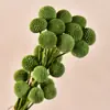 Bolas Doradas del Fabricante, Flores Naturales Reales, Materiales para Manualidades, Decoración del Hogar para la Sala de Estar, Arreglos Florales, Adornos de Flores Secas, Martillos Dorados