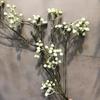 Borracha de Toque Realista Simulando Frutas Silvestres, Frutas de Galhos Altos, Plantas de Frutas Vermelhas, Flores e Frutas, Plantas Verdes, Flores Artificiais Pastorais Nórdicas