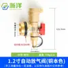 Válvula de Drenaje de Calentamiento Totalmente Automática Válvula de Escape de Latón Distribuidor de Agua Tubería de Agua Potable de 1 Pulgada Fabricante Válvula de Drenaje Venta al por Mayor