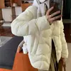 Jaqueta de Penas Feminina Inverno Nova Moda Quente Estilo Curto Penas de Pato Estilo Coreano Jaqueta de Penas Atacado