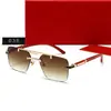 Nuevas Gafas de Sol Retro de Moda Tendencia, Populares en Europa y América, con un Sabor Natural, Adecuadas para Todas las Ocasiones y Varios Elementos, Gafas de Sol 038