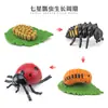 Juguete modelo de animal pequeño simulación ciclo de vida crecimiento rana tortuga pollo Montessori material didáctico preescolar venta al por mayor