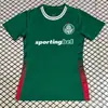 Venta al por mayor transfronteriza 2627 Camisetas de fútbol para mujer Versión de aficionado Selección Nacional Club Mangas cortas Tops Soporte para impresión de números y Envío directo