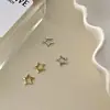 Pendientes de Hueso de Oreja de Estrella de Cinco Puntas Ins Estilo Genial Chapados en Plata de Ley S925 Oro de 18 Quilates Diseño de Nicho de Gama Alta