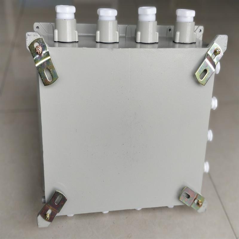 防爆接线箱 (4)