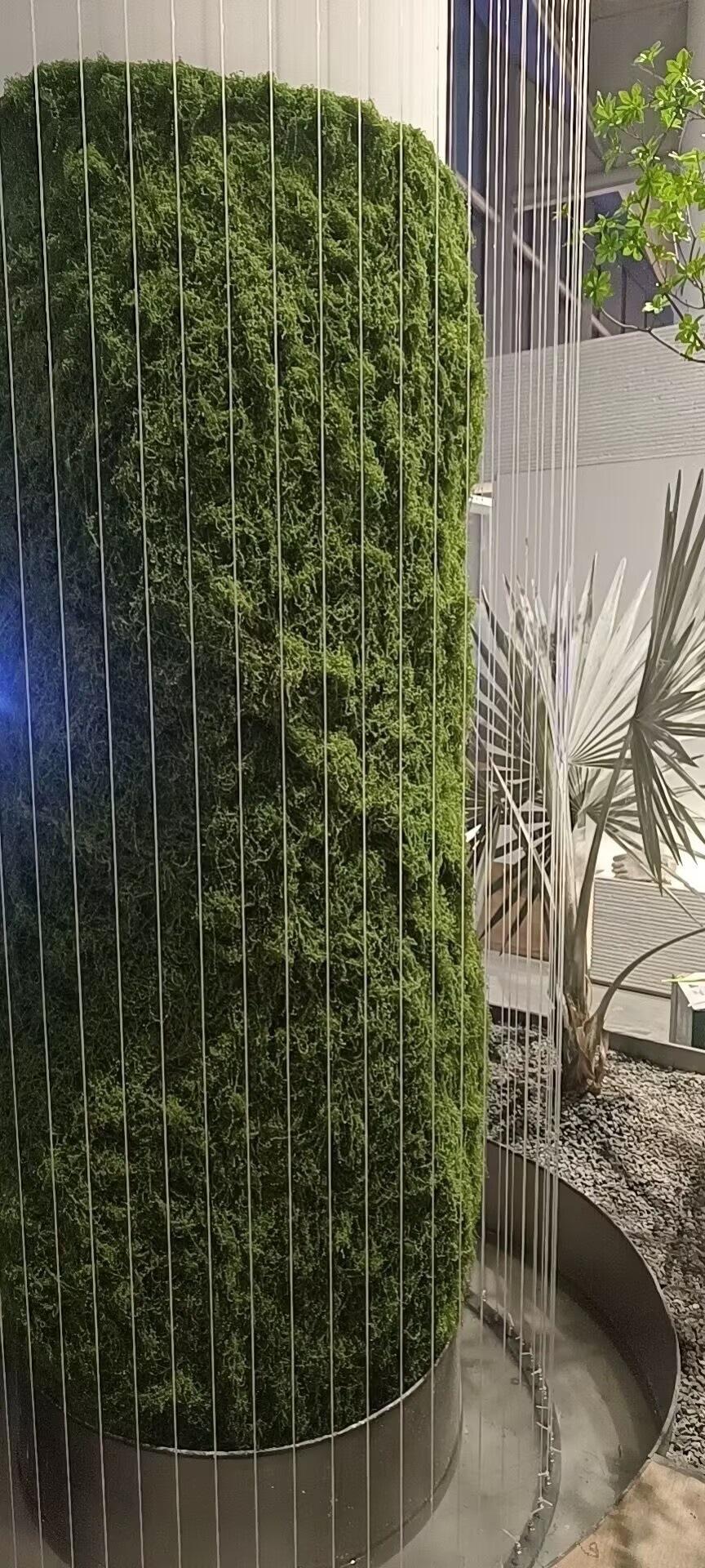 8C9D0B5362FA358396020372987C8F