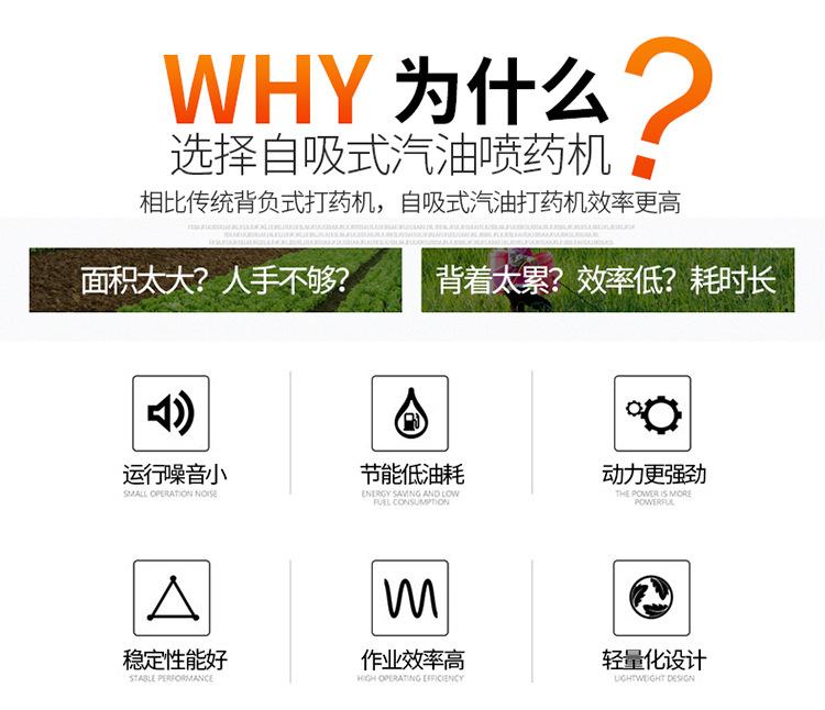 汽油高压打药机
