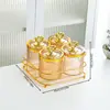 Latas Seladas para Frutas Secas, Especiarias, Grãos, Caixas de Armazenamento para Geladeira, Potes de Armazenamento de Grau Alimentício para Feijão e Macarrão