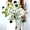 Directamente de Yunnan Nomeolvides Gypsophila Flores Reales Semisecas Secadas al Aire Naturalmente Flores Conservadas Regalo Adorno para Sala de Estar Mesa de Comedor