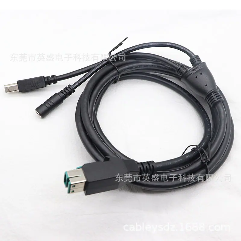 12V 8P公转接DC5.5*2.1母+USBBM