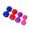 Equipo de fitness para el hogar hexagonal con recubrimiento mate y brillante para mujer, mancuernas de hierro fundido recubiertas de colores, venta al por mayor transfronteriza