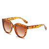 GLAZZY2021 gafas de sol de moda nueva venta al por mayor transfronteriza montura grande modernas gafas de playa unisex celebridad de Internet gafas de sol personalizadas