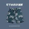 Pantalones Cortos de Playa Transfronterizos para Hombre, Verano Secado Rápido Delgados Sueltos de Dibujos Animados, Adecuados para Usar al Aire Libre, Pantalones Cortos Casuales Grandes para Hombre