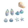 Aretes Europeos y Americanos Transfronterizos Frescos y Dulces Viento de Playa Estrella de Mar Concha Acrílico Viento Vacacional Pendientes con Colgante de Caracola