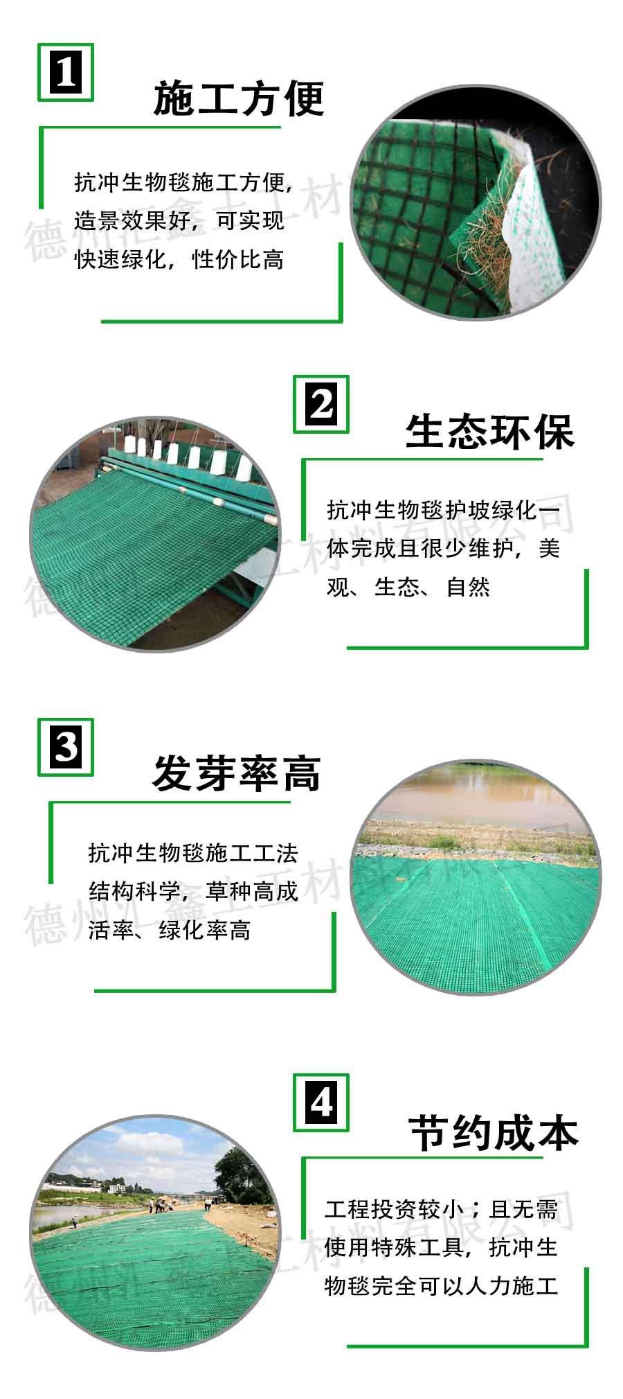 抗冲生物毯特点.jpg