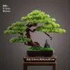 Novo Bonsai Artificial Estilo Chinês Inspirado em Zen Pinheiro Acolhedor e Pinheiro Arhat para Decoração de Escritório, Sala de Estar e Hall de Entrada