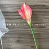 Lirio Calla Simulada Negro Ev Sentir Flor Artificial de Lirio Calla Diseño de Escena Venta al por Mayor Transfronteriza Amazon Lirio Calla