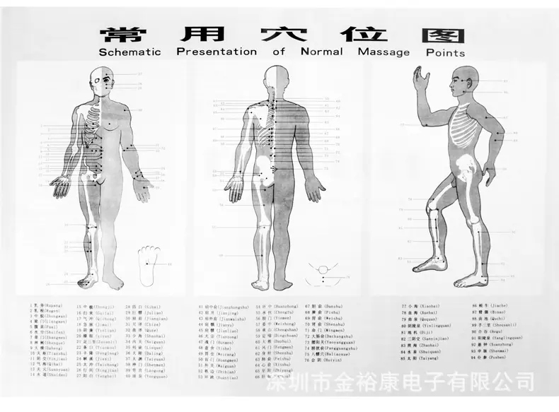 309中文新