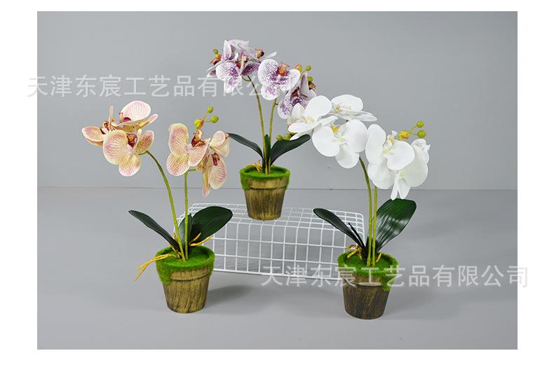 详情_12.jpg