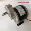 Motor DC de Ímã Permanente com Escovas e Caixa de Engrenagens 12V24V250W Motor Haoceng Unite Lingying My1016