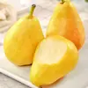 Yantai, Shandong, Pera Taipo al por mayor y entrega 3/5/ 4.5 kg Pera Plátano, Pera de Esposa, Pera Cabeza Grande, Fruta Fresca