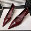 Sapatos Femininos Novo Estilo Primavera 2026 para Todas as Estações, Salto Alto de 5cm para Ambiente de Trabalho Europeu e Americano, Sapatos de Bico Fino Simples e Versáteis, Sapatos para o Dia a Dia