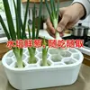 Regenerador de maceta para plantar cebollín y cebolla de verdeo, gadget hidropónico de cocina para cultivo de verduras en balcón casero, herramienta de cultivo para personas perezosas, artículo decorativo