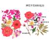 Bolsa de Flores Secas para Manualidades con Flores en Relieve, Marcapáginas de Flores en Relieve, Bolsa de Flores en Relieve, Material para Pintura en Relieve, Pegamento para Flores Reales, Hojas Secas