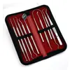 Kit Dental Disponible para Limpieza Dental Herramientas de Cuidado Bucal para Eliminar Manchas, Sarro y Placa con Espejo Bucal y Sonda