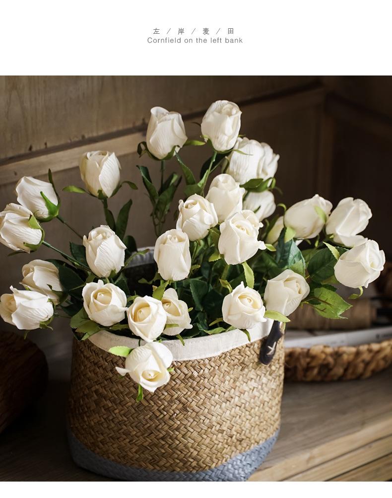 TB2VvrGo0bJ8KJjy1zjXXaqapXa_!!