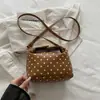 Outono de 2026 Nova Bolsa de Mão Versátil Simples de Alto Valor Bolsa Baguete Moda de Nicho Feminina Bolsa de Ombro Transversal de Bolinhas