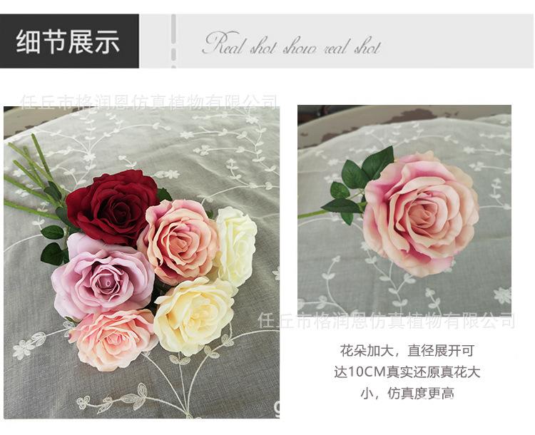 单支玫瑰花_04.jpg