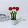 Suministrado Directamente del Fabricante, Piedra Flor de Lluvia Tres Bolas Pequeñas Crisantemo Bonsái Artificial Decoración de Escritorio de Oficina Flor Artificial de Plástico Planta Pequeña en Maceta