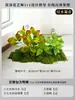 Cenário de Musgo Atmosfera de Primavera Arranjo Plantas de Musgo Artificiais Decoração Paisagem Parte Inferior de Escada Interna Gramado Biomórfico
