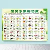 Tabla de Compatibilidad e Incompatibilidad de Alimentos Pegatina de Pared para Póster Dieta para la Diabetes Tabla de Lo que se Debe y No Se Debe Hacer Emparejamiento Nutricional y Terapia Dietética