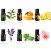 Suministro Transfronterizo de Aceite Esencial de Masaje Rosa Lavanda Menta Coreana Comercio Exterior Completo Inglés Fabricante de Aceites Esenciales Vegetales Venta al por Mayor