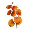 Hojas de Eucalipto Simuladas Accesorios para Arreglos Florales de Boda Hojas de Eucalipto Hoja de Dinero Ins Accesorios para Arreglos Florales Hojas Decorativas